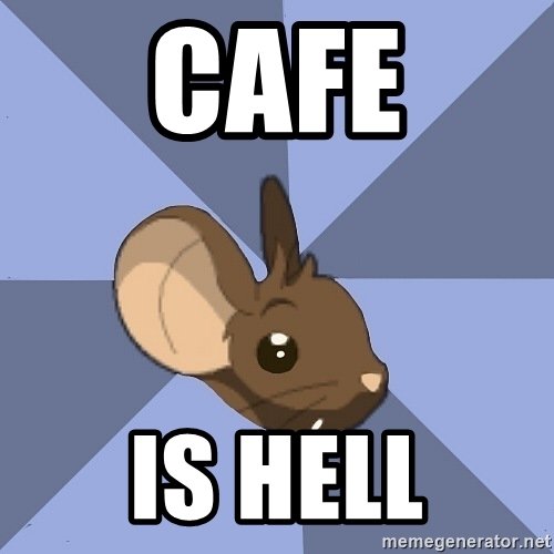 transformice cafe transformice cafe