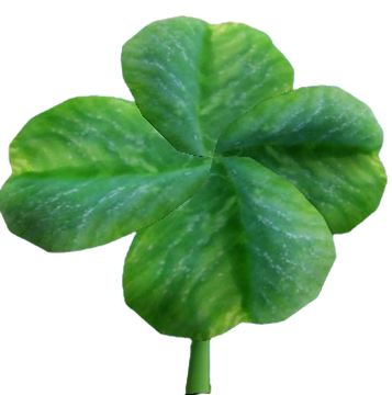 Why the four-leaf clover brings luck 🍀🍀🍀🍀 - Forgotten Ireland