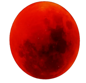 p*o様 血染めの月/Blood Moon DRK EN CGC7.5 maxresdefault.jpg