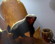 BadgerPussInBoots