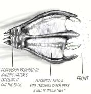 Concept art of the Bellow Fish.