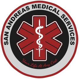 SAMS Logo