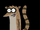 Rigby(SUSR)