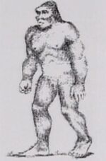 Bigfoot1