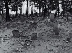 Black hope curse1 cemetery