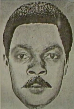 Composite of Rachael's killer