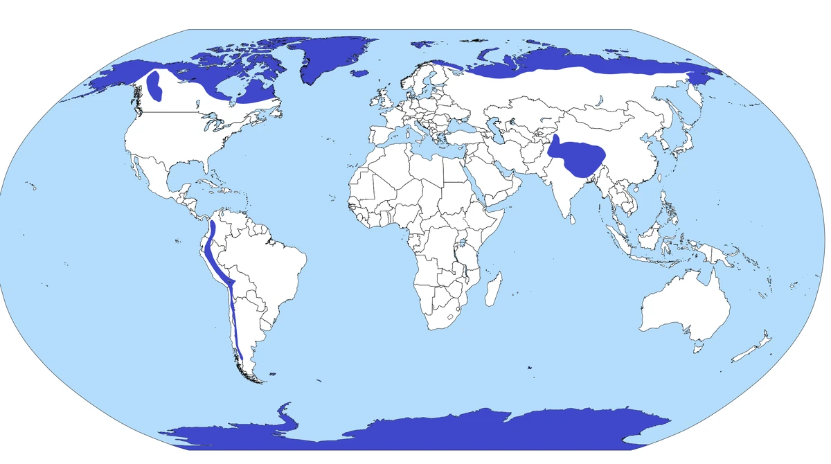 Category:Tundra | Unsung Animals Wiki | Fandom
