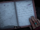 Hannah's Diary