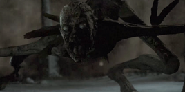 Makkapitew-0