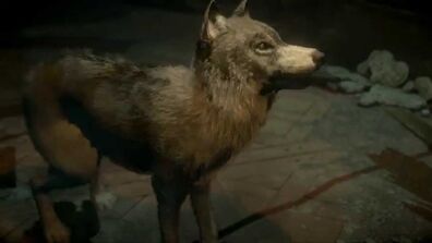 Wolfie 1