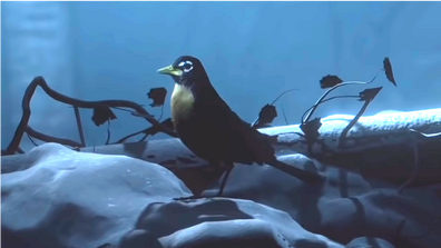 Der Vogel erscheint bei der Schneeballschlacht