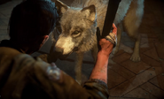 Mike reunited with Wolfie in Chapter 9.