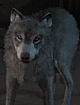 WolfieTemplate.png