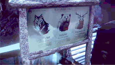 Zusatz Objekt Infotafel über Wildtiere