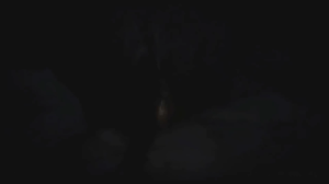 FortuneTotem2.gif