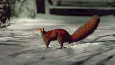 Sam begegnet auf dem Eichhörnchen