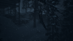 Emily escapes zip line