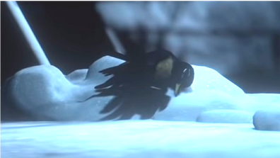 Der Vogel liegt tot im Schnee