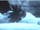 Vogel 5.png