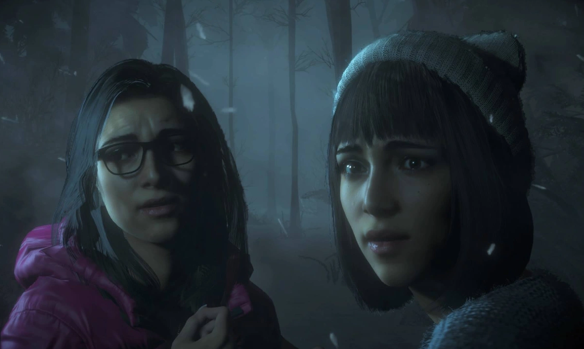 Близнецы | Until Dawn Wiki | Fandom