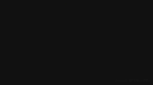 GuidanceTotem4.gif