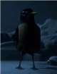 BirdTemplate.png