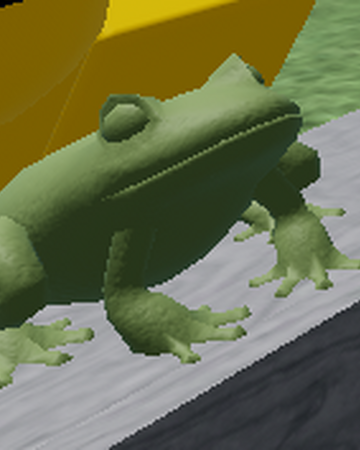 Frog Untitled Meme Game Wiki Fandom