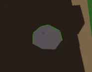 Raw Bacon on the ground.