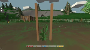 2014-07-21 00009.jpg (311 KB) A corn seedling.