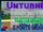 Unturned - Cloth, Rag, Escadas, Duct tape e ponte contruida 08