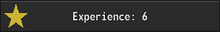 Experience