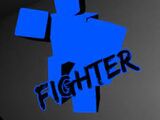 Fighter