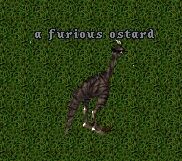Furiousostard.jpg