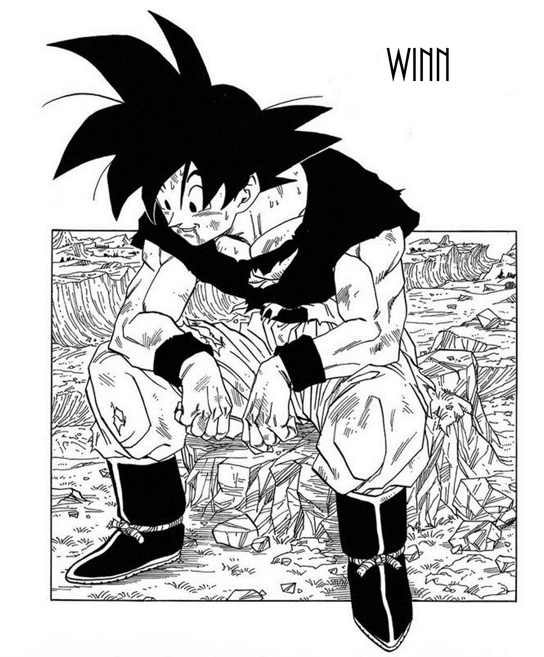 Dissel Dbz Art