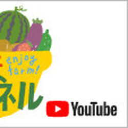 KatoNoriko-youtube.jpg