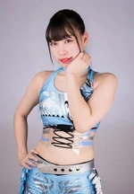 Hikari uugpw.jpg (55 KB) August 2017