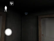 The Camera, in the corner of the Living Room, between the Bathroom's and the Backyard's Doors.