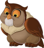 Friend Owl as Archimedes