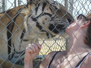 Dana Fredsti Tiger-Kiss