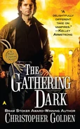 4. The Gathering Dark (2011 by Ace—Shadow Saga series) by Christopher Golden—Art: Craig White
