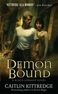 2. Demon Bound (2009—Black London series) by Caitlin Kittredge—Art: Chris McGrath