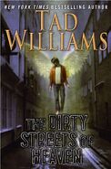 1. The Dirty Streets of Heaven (2012—Bobby Dollar series) by Tad Williams—art: Kamil Vojnar