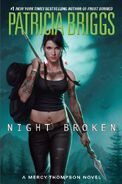 8. Night Broken (2014—Mercy Thompson series) by Patricia Briggs—Art: Dan Dos Santos