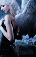 Where Demons Fear to Tread (The Company of Angels #1) by Stephanie Chong—PNR