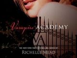 Vampire Academy series