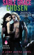 3. Chosen (Dark Breed #3) by Sable Grace