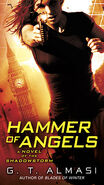 2. Hammer of Angels (2014—Shadowstorm series) by G.T. Almasi—Art: Tony Mauro