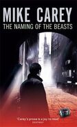 5. The Naming of the Beasts (2011—Felix Castor series) by Mike Carey—Art: Tim Byrne??