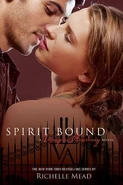 5. Spirit Bound (2010—Vampire Academy series) by Richelle Mead ~ Excerpt