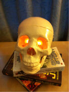 1.) Bob the Skull, sidekick to Harry Dresden in The Dresden Files series by Jim Butcher